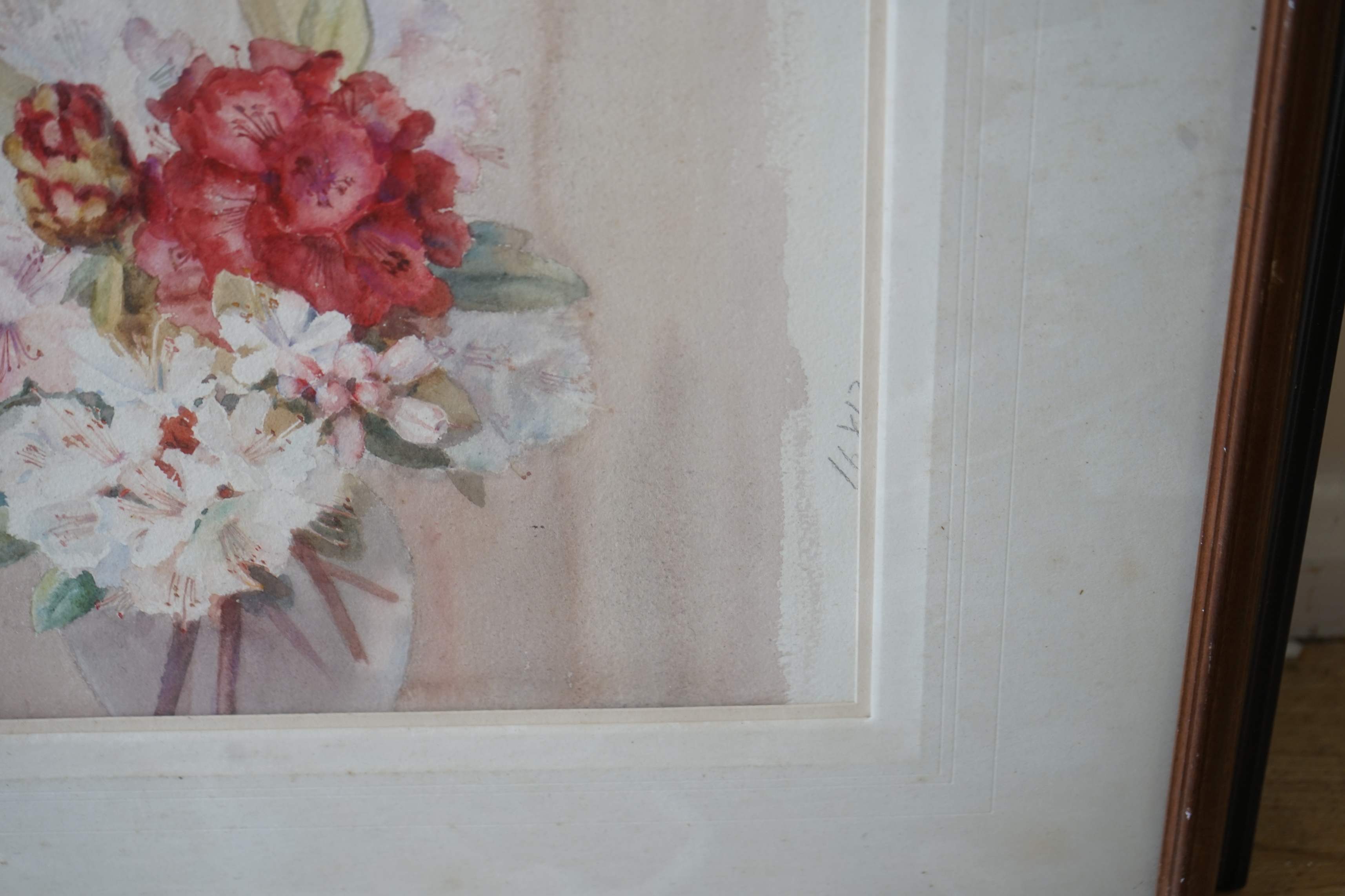 Nora H. Cullen (20th. C), watercolour, 'Sky and Rhododendron', signed, 35 x 40cm, and a sketch of a bunch of blossom, 40 x 32cm. Condition - fair